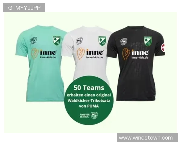 赛后分析：深圳足球队与西安足球队的团队协作表现及其影响因素探讨